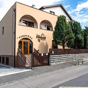 https://wine-pension-prague.praguehotelsweb.com